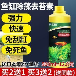 時光小舍 一方花木，妝點(diǎn)生活的小確幸