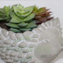 專業(yè)織物上光與護(hù)理的優(yōu)質(zhì)選擇 東莞市藝軒廠紡織品上光皂